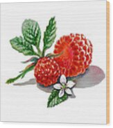 Artz Vitamins A Very Happy Raspberry Wood Print