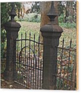 Victorian Metal Gate 3 Wood Print