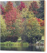 View Across Lafarge Lake Wood Print