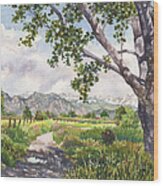 View From Stearns Lake Wood Print