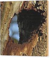 View Through A Tree Wood Print