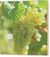 Vineyard, Grapes Wood Print
