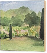 Vineyard In Provence Watercolor Paintings Of France Wood Print