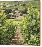 Vineyard With View On Burgundy Village Wood Print