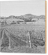 Vineyards Wood Print