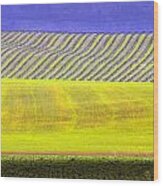 Vineyards Wood Print