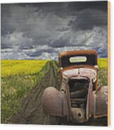 Vintage Chevy Pickup On A Dirt Path Through A Canola Field Wood Print
