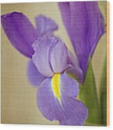 Vintage Iris In Vase Wood Print
