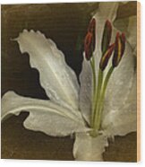 Vintage Lily Wood Print
