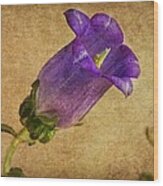 Vintage Purple Flower Wood Print