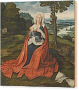 Virgin And Child Seated Before An Extensive Landscape Wood Print