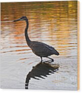 Wading For You Wood Print