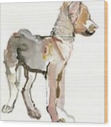 Waggle Arabian Wolf Pup Wood Print
