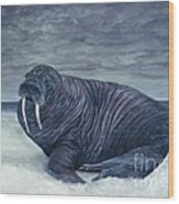 Walrus Wood Print