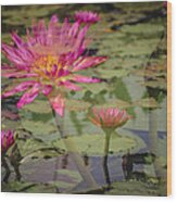 Water Garden Dream Wood Print