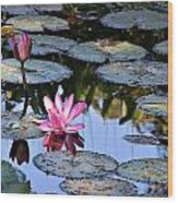 Water Lilies Wood Print