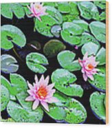 Water Lillies -- Inspired By Monet-2 Wood Print