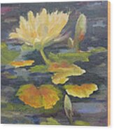 Water Lily In The Fountain Wood Print
