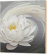 Water Lily Whirlpool Wood Print