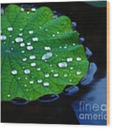 Waterdrops On Lilypad Wood Print
