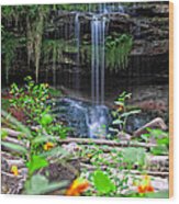 Waterfall Behind Jewelweed Wood Print