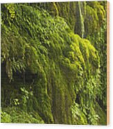 Waterfall In Green Wood Print