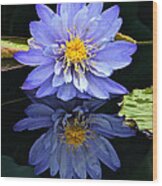 Waterlily And Reflection Wood Print