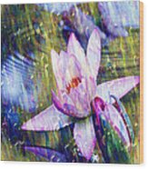 Purple Waterlily Paradise Wood Print