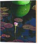 Waterlily Reflection Wood Print