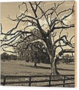 Waving Limbs Farm Sepia Wood Print