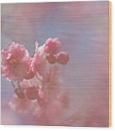 Weeping Cherry Blossoms Wood Print