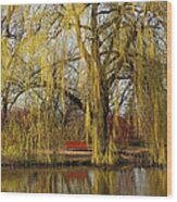 Weeping Willow Wood Print