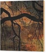 Weeping Willow Sunset Wood Print