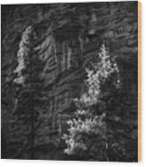 West Fork Rock Face Number Three Black And White Wood Print