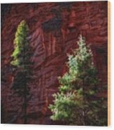 West Fork Rock Face Number Three Wood Print