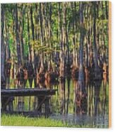 West Monroe Swamp Dock Wood Print