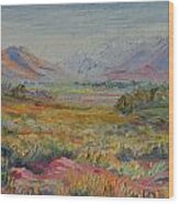 Western Cape Mountains Wood Print