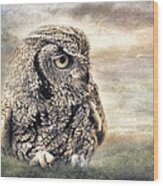 Western Screech Owl Wood Print