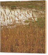 Wetlands Wood Print