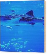 Whale Sharks Swimming In Aquarium With People Observing Wood Print