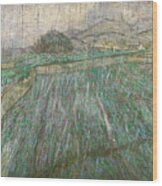 Wheat Field In Rain Wood Print