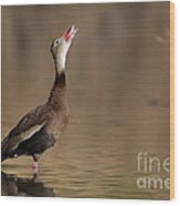 Whistling Duck Whistling Wood Print