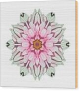 White And Pink Dahlia I Flower Mandala White Wood Print