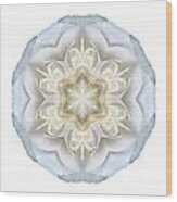 White Begonia Ii Flower Mandala White Wood Print