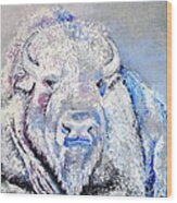 White Bison Wood Print