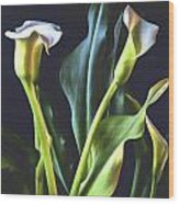 White Calla Lily Bouquet Wood Print