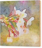 White Cherry Blossoms Digital Watercolor Painting 1 Wood Print