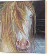 White Chocolate Stallion Wood Print