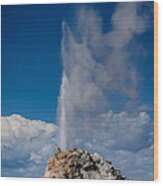 White Dome Geyser - Yellowstone National Park Wood Print