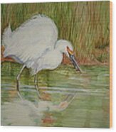 White Egret Wading Wood Print